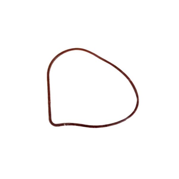 Triumph Water Pump Seal (T3600230)