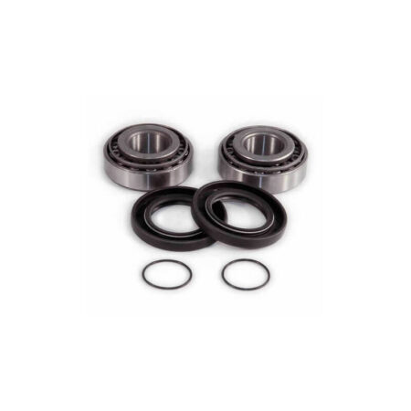 EPI rear swing arm repair kit