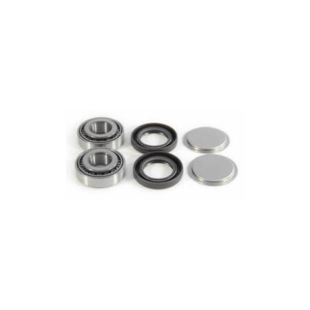 EPI rear swing arm repair kit